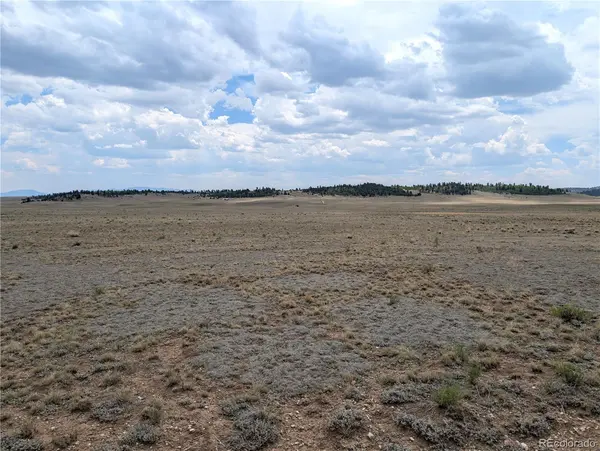 956 Apache TRL, Hartsel, CO 80449