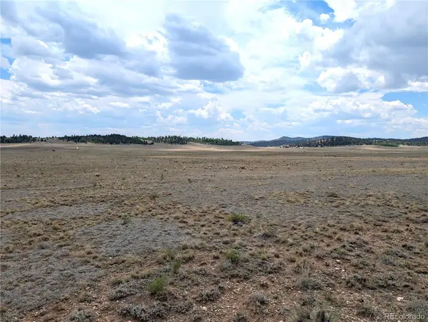 956 Apache TRL, Hartsel, CO 80449