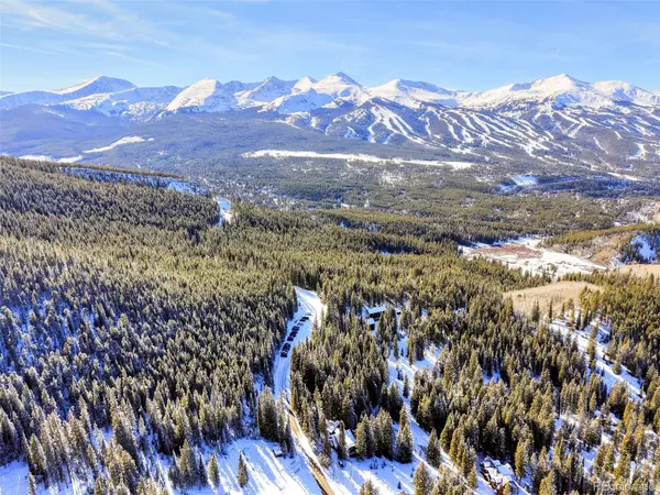 3362 Boreas Pass RD, Breckenridge, CO 80424