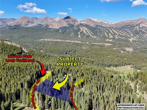 3362 Boreas Pass RD, Breckenridge, CO 80424