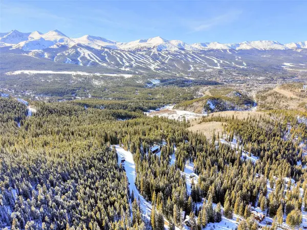 3362 Boreas Pass RD, Breckenridge, CO 80424