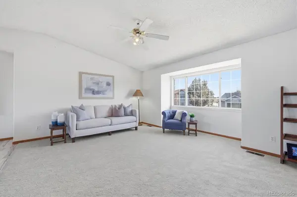 133 Rockaway AVE, Castle Rock, CO 80104