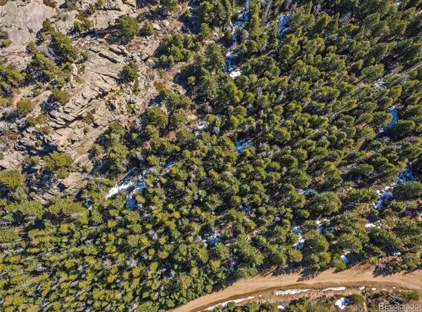 33131 Lynx LN, Evergreen, CO 80439