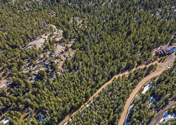 33131 Lynx LN, Evergreen, CO 80439