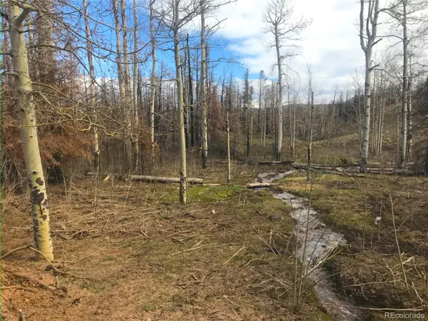 954 Forbes Park RD, Fort Garland, CO 81133
