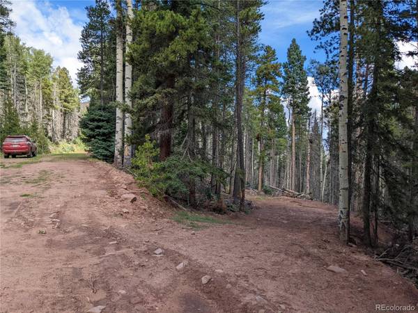 2379 Larry PL, Fort Garland, CO 81133