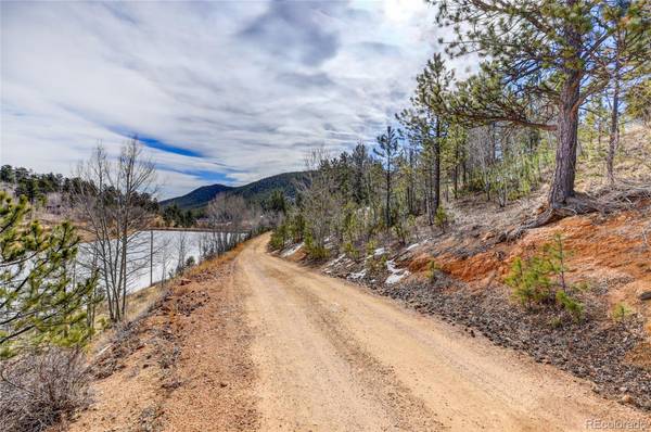 147 Ward ST, Bailey, CO 80421
