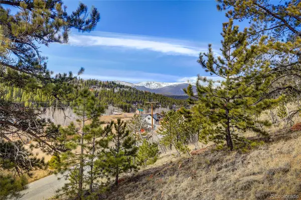 147 Ward ST, Bailey, CO 80421