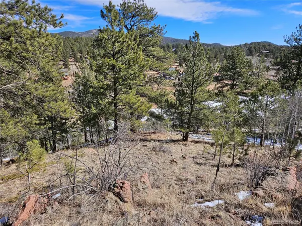 147 Ward ST, Bailey, CO 80421