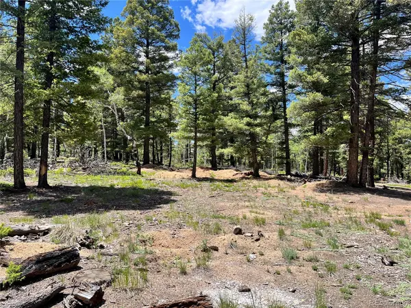 1002 Indian Creek RD, Florissant, CO 80816