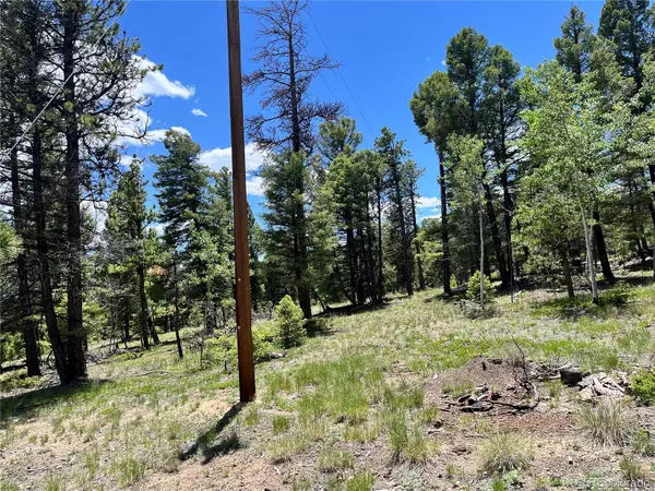 1002 Indian Creek RD, Florissant, CO 80816