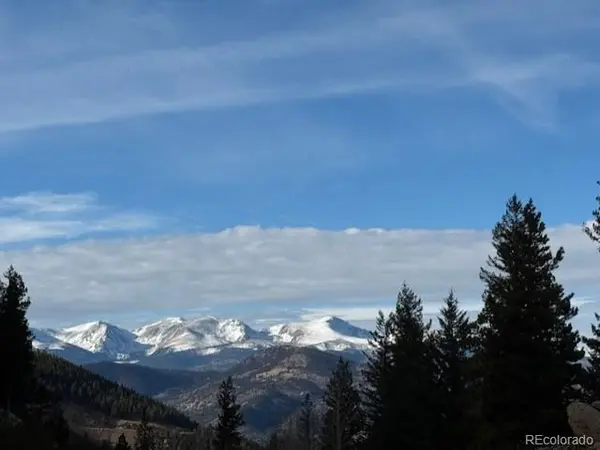 1695 Packsaddle TRL, Evergreen, CO 80439