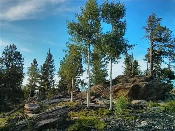 1695 Packsaddle TRL, Evergreen, CO 80439