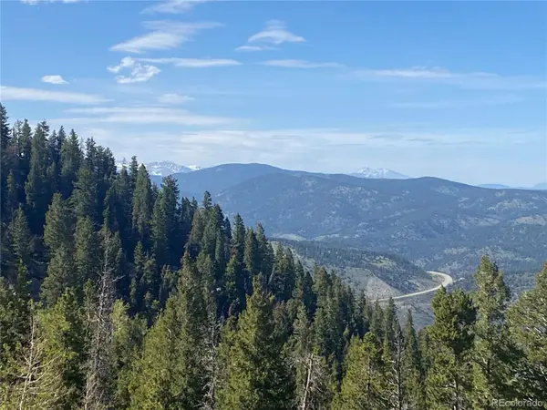 1695 Packsaddle TRL, Evergreen, CO 80439
