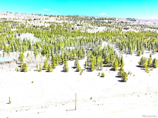 15 Placer DR, Alma, CO 80420