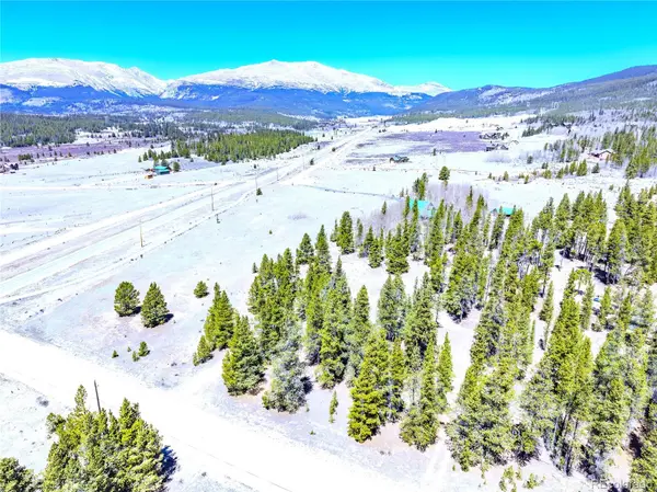 15 Placer DR, Alma, CO 80420