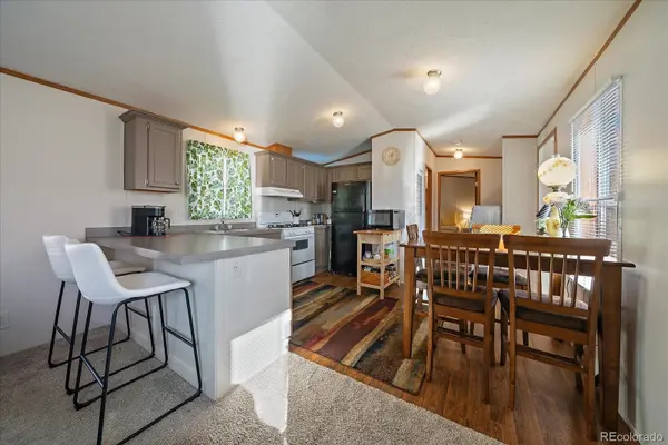 159 Mallard ST, Golden, CO 80401