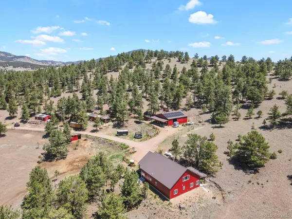 150 Julia RD, Guffey, CO 80820