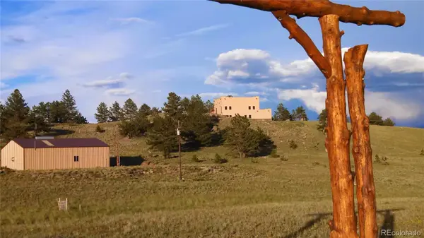 5675 Ranch RD, Hartsel, CO 80449