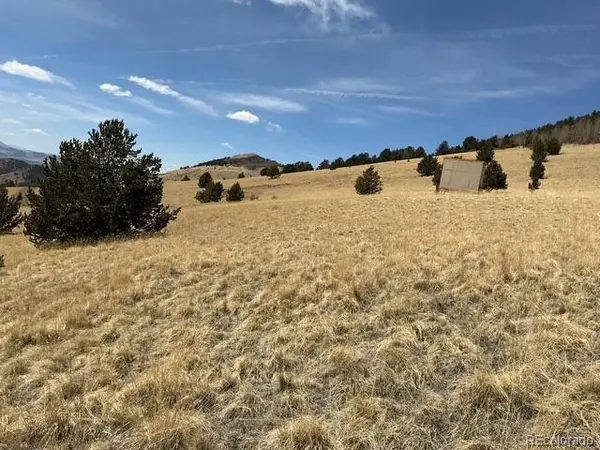 00 Rhyolite Mountain Mesa, Cripple Creek, CO 80813