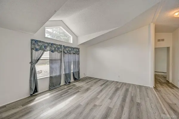 121 Brookdale, Buena Vista, CO 81211