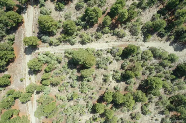 Conejos PL, Mosca, CO 81146