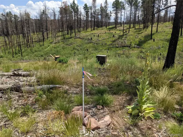 549-551 Drevs PL, Fort Garland, CO 81133