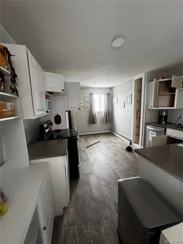 949 S Pine DR, Bailey, CO 80421