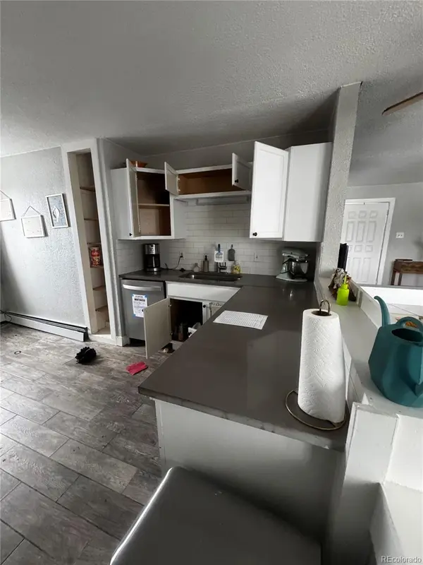 949 S Pine DR, Bailey, CO 80421