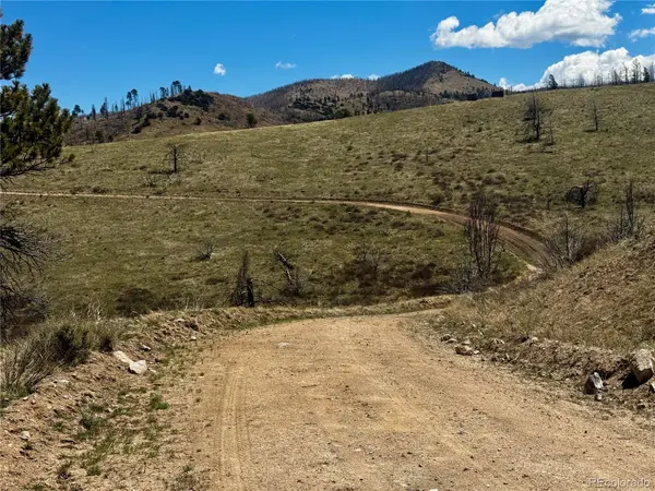 Lot 7712 Hallstein RD, Fort Garland, CO 81133