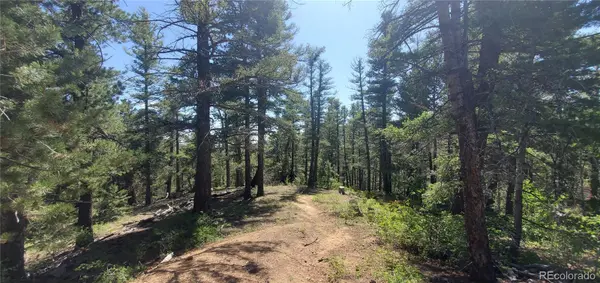 Lot 6764 Kerrigan RD, Fort Garland, CO 81133