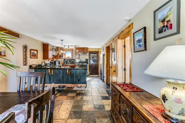 29 S Oak ST, Alma, CO 80420