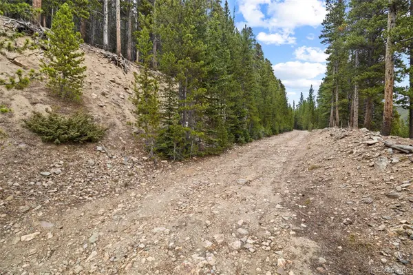 773 Harris CIR, Idaho Springs, CO 80452