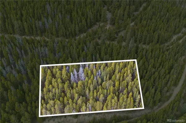 773 Harris CIR, Idaho Springs, CO 80452
