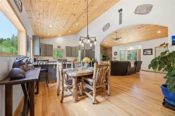 705 Gold Flake TER, Bailey, CO 80421