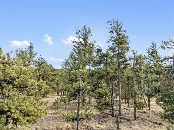 263 Valley DR, Lake George, CO 80827