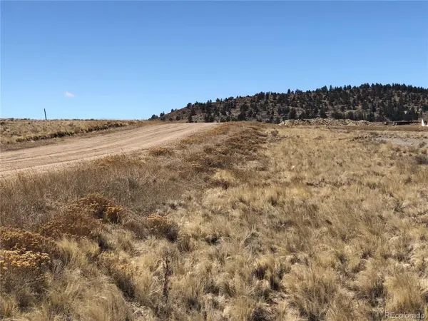 121 Commanche TRL, Hartsel, CO 80449