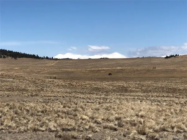 121 Commanche TRL, Hartsel, CO 80449