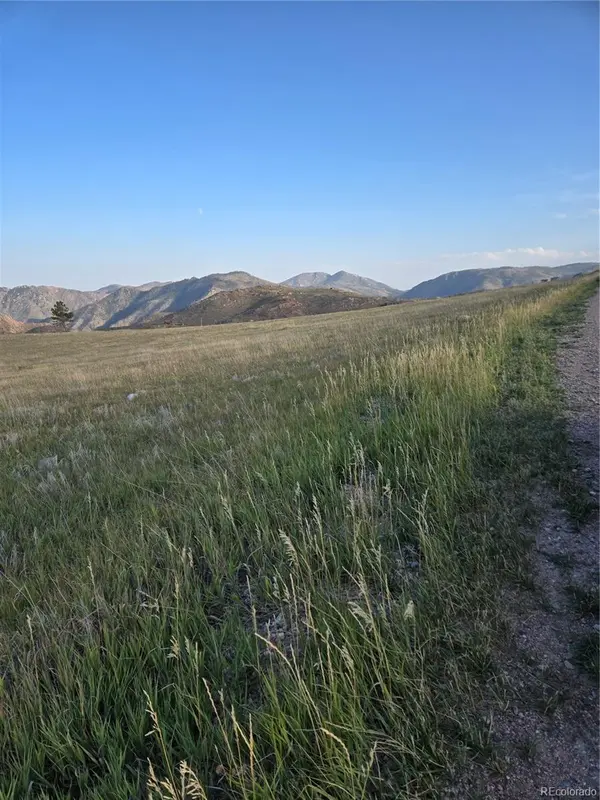 443 Meadow Mountain DR, Livermore, CO 80536