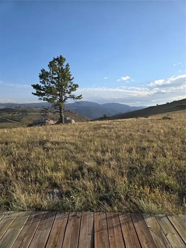 443 Meadow Mountain DR, Livermore, CO 80536