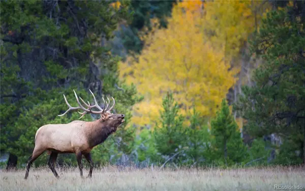 600 Virginia AVE, Leadville, CO 80461
