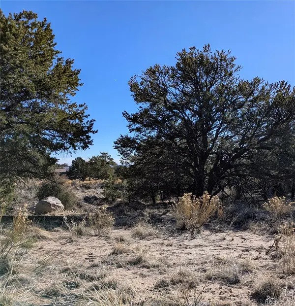 1393 Spanish Ruins, Crestone, CO 81131