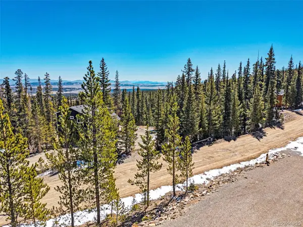 313 Porcupine RD, Fairplay, CO 80440