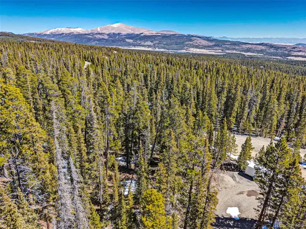 313 Porcupine RD, Fairplay, CO 80440