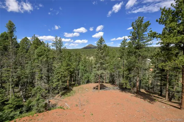 100 Wildcat Creek DR, Florissant, CO 80816