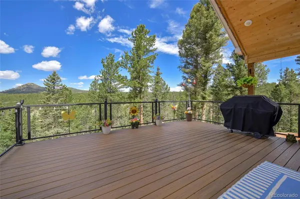 100 Wildcat Creek DR, Florissant, CO 80816