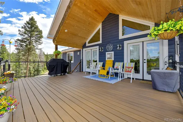 100 Wildcat Creek DR, Florissant, CO 80816