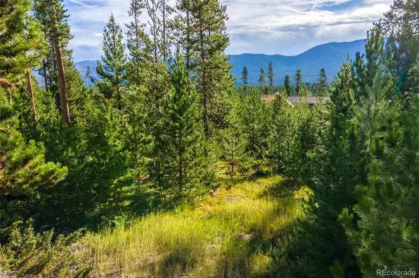 220 GCR 4571, Grand Lake, CO 80447