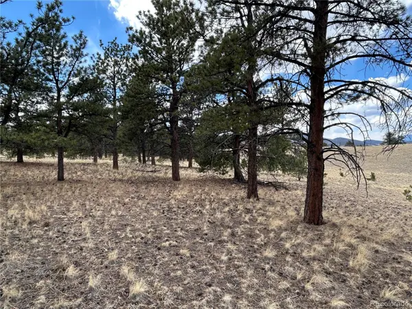 565 Brahma CIR, Hartsel, CO 80449