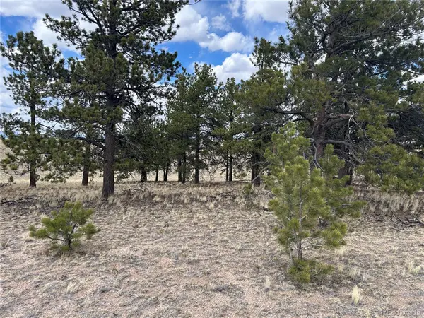 565 Brahma CIR, Hartsel, CO 80449